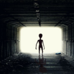 引发举国沸腾的“国产光刻机工厂”，是假消息