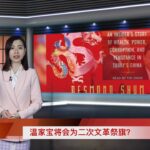 中国晶圆厂破产沦为养鸡场 拍卖二手光刻机