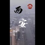 经济不行了 中国1月PMI跌至49.1 创22个月新低